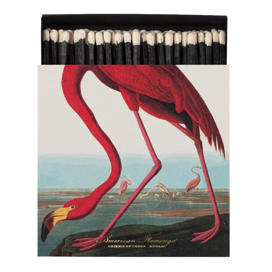 A black matchbox printed with an Audubon illustration of an American flamingo